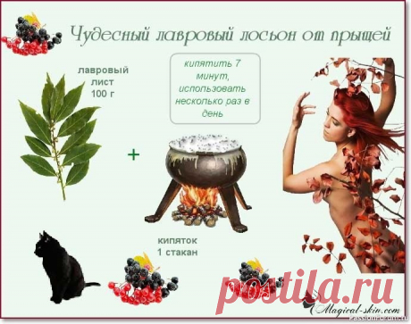 Лавровый лист от прыщей