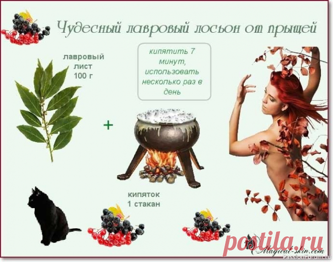 Лавровый лист от прыщей