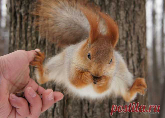 igorant765 — «ох уж эта спешка, все нам некогда...» на Яндекс.Фотках