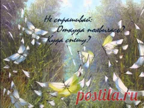 Бабочки - YouTube
Использованы работы художника Дмитрия Кустановича.
Музыка: Кeiko Matsui -bridge over the stars-
Стихи: Афанасий Фет.