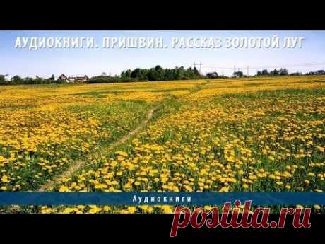 Аудиокниги. Пришвин. Рассказ Золотой луг - YouTube