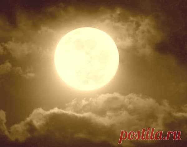 Лунный календарь на 23 июля 2020 года  🌑
🍃 Убывающая Луна в знаке Близнецы ♊ 🍂 Этот день благоприятен для начала любых дел, особенно для финансовых операций.
В этот лунный день можно сделать много полезного и хорошего, но не стоит начинать новых проектов.
Можно завершить начатые дела.
Лучше не начинать ничего нового, а заниматься только тем, что уже давно начато и хорошо знакомо.
Хорошо, если у вас есть возможность, посвятить этот день отдыху.
Не стоит принимать участие в массовых гуляниях, лу…