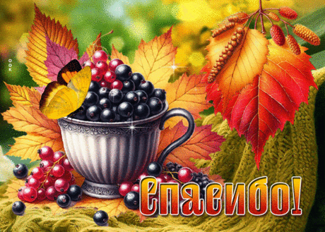 Мирная гиф-открытка, моя осенняя благодарность
