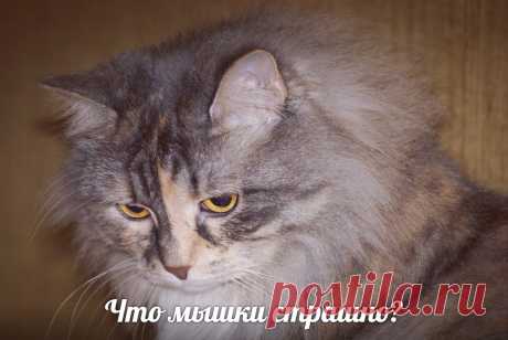 Редактировать описание