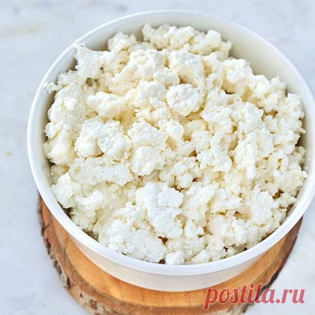 Домашний творог за 10 минут - Будет вкусно - Социальная сеть 