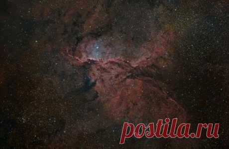 В облаках светящегося водорода туманности NGC 6188 таятся фантастические формы. Эта эмиссионная туманность находится на краю большого молекулярного облака, невидимого в оптическом диапазоне, на расстоянии около 4 тысяч световых лет от нас в южном созвездии Жертвенника. Туманность окружает молодые массивные звёзды ассоциации Жертвенник ОВ1, сформировавшиеся в этом месте всего несколько миллионов лет назад.