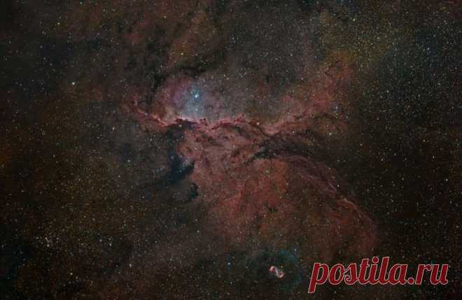 В облаках светящегося водорода туманности NGC 6188 таятся фантастические формы. Эта эмиссионная туманность находится на краю большого молекулярного облака, невидимого в оптическом диапазоне, на расстоянии около 4 тысяч световых лет от нас в южном созвездии Жертвенника. Туманность окружает молодые массивные звёзды ассоциации Жертвенник ОВ1, сформировавшиеся в этом месте всего несколько миллионов лет назад.