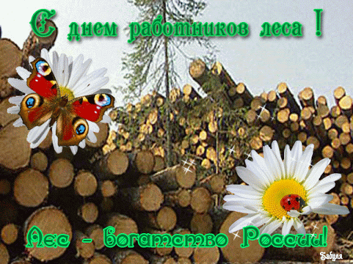 Чтоб лесов шумели кроны,
Приносили кислород,
Нужен коллектив огромный,
Что деревья бережет!