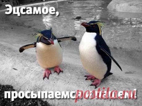 ...Настроение...☺