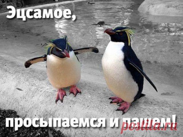 ...Настроение...☺