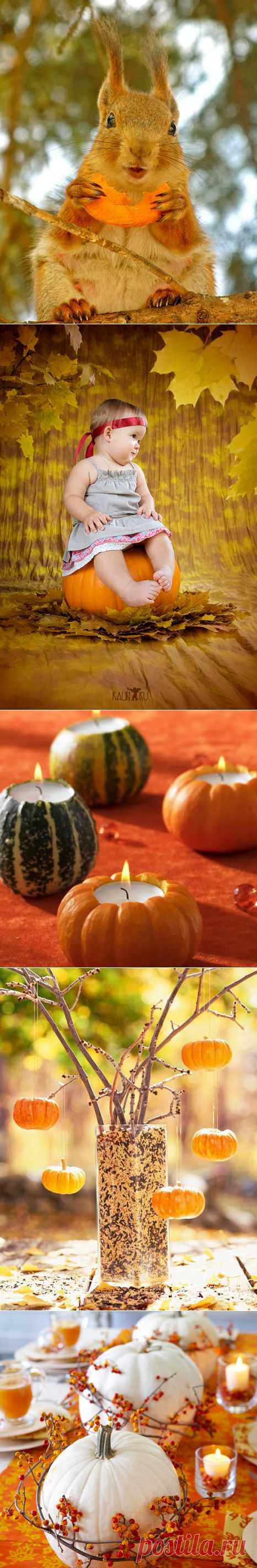 Тыквенное...