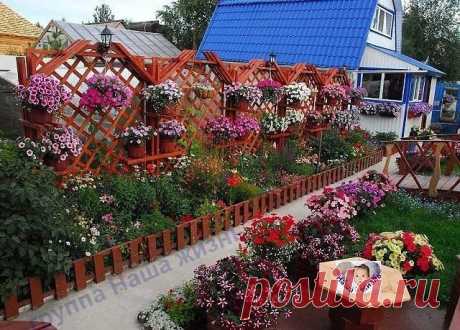 У хозяев руки растут там, где надо!