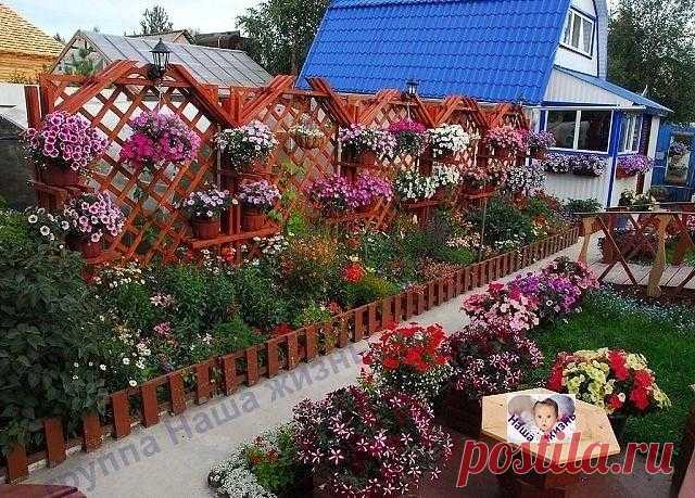 У хозяев руки растут там, где надо!