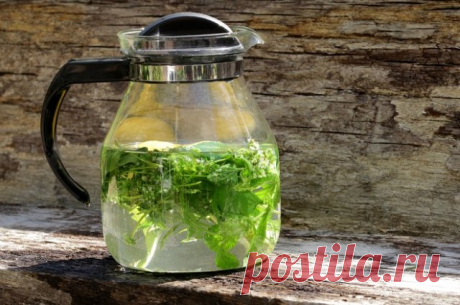 20 травяных чаев для укрепления здоровья: составы, рецепты, советы по применению | Полезно (Огород.ru)