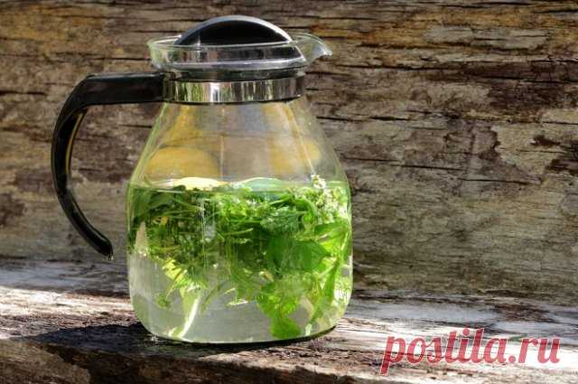 20 травяных чаев для укрепления здоровья: составы, рецепты, советы по применению | Полезно (Огород.ru)