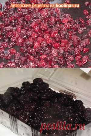 Цукаты из черешни и шпанки(базовый рецепт). Рецепт c фото, мы подскажем, как приготовить!