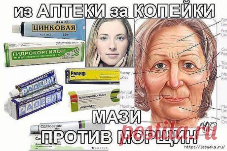 МАЗИ ПРОТИВ МОРЩИН ЗА КОПЕЙКИ  / Путь моды