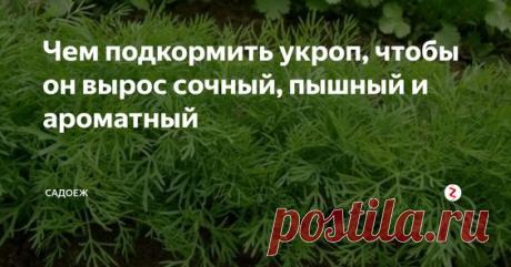 (40) Pinterest