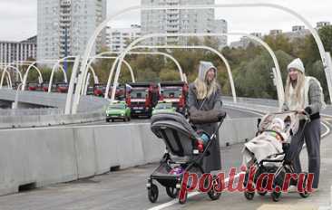 Расходы бюджета на нацпроекты к ноябрю предварительно составили 4,6 трлн рублей. Самый высокий уровень исполнения показали нацпроекты &quot;Семья&quot;, &quot;Молодежь и дети&quot;, &quot;Эффективная и конкурентная экономика&quot; и &quot;Продолжительная и активная жизнь&quot;