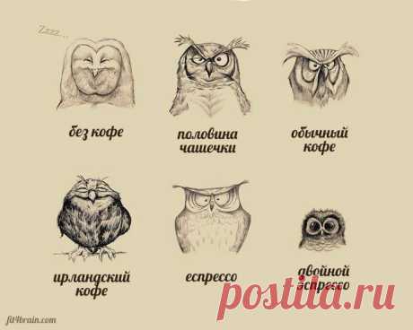 Теория и практика воздействия кофе на организм индивидуума.