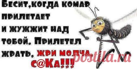 Началось ))))