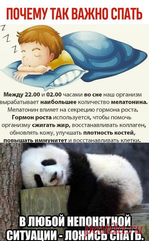 Полезен и дневной сон