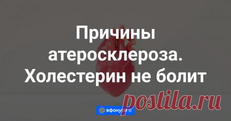 Причины атеросклероза. Холестерин не болит Заболевания сердца и сосудов продолжают лидировать среди причин смертности россиян. Так почему же при анализе на липиды до сих пор не делают анализ на содержание липопротеина (а)?