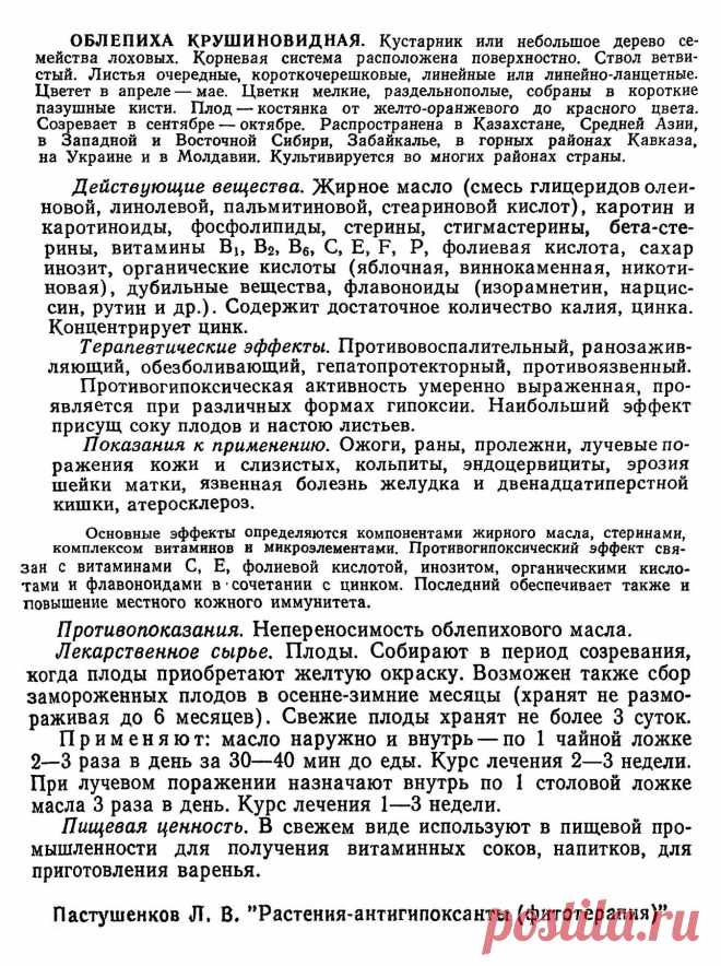 Облепиха крушиновидная