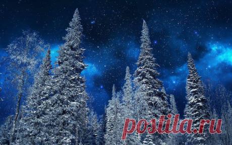 В полночь Вселенная пахнет звездами...
Бесчисленные звезды в ночном небе
Что бы ни происходило в вашей жизни, всегда тянитесь к звездам, к лучшему, к доброму!
Спокойной, доброй ночи, друзья! Крепких,чудесных снов