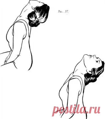 Упражнения на переднюю поверхность шеи