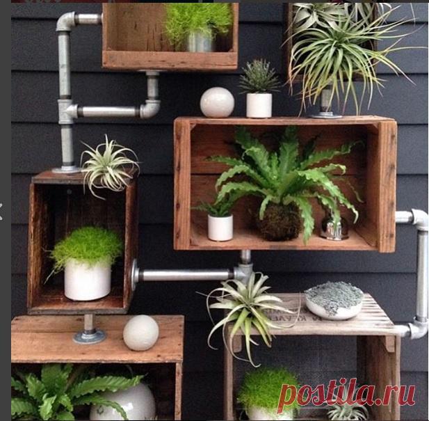 Садик...сантехника / Цветы, вазы и цветочные горшки / ВТОРАЯ УЛИЦА