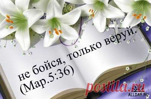 h-879.jpg (500×326)