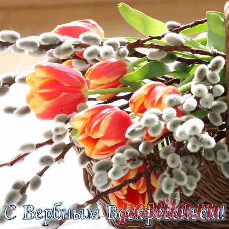 Открытка - Корзинка с веточками вербы и тюльпанами к Вербному Воскресенью