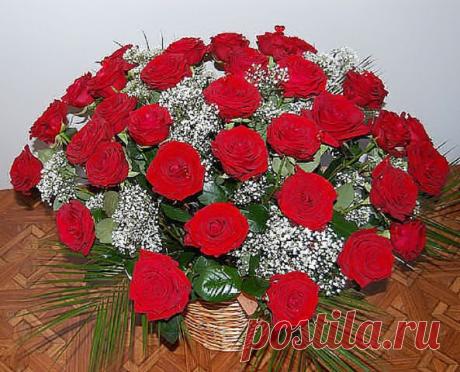 Красивые Цветы  Для Тебя