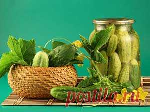 ЗАГОТОВКИ БЕЗ СОЛИ