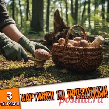 🎉 Праздники которые отмечают в России и мире 3 Октября 2026 года (03.10.26 суббота)
✅ Всемирный день трезвости
✅ День ОМОНа в России
✅ День рождения Сергея Есенина
✅ День брусники
✅ Всемирный день грибника
✅ Первая суббота октября