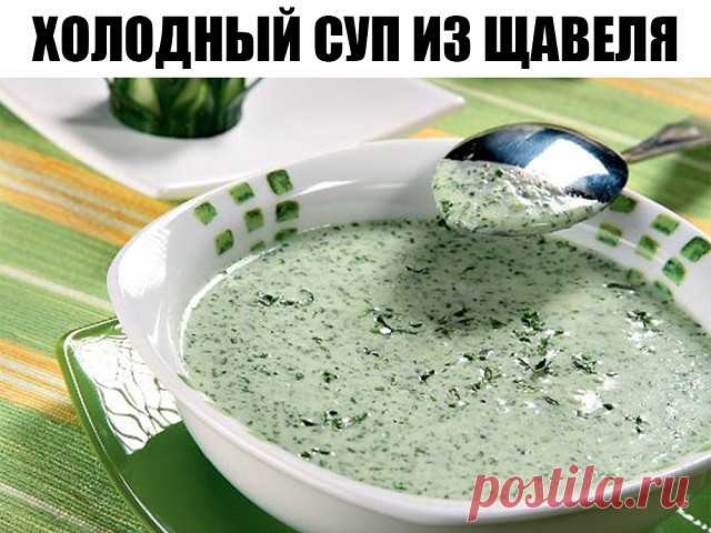 Холодный суп из щавеля 

Сегодня
нам предстоит приготовить еще одно национальное летнее блюдо русской 
кухни — холодный щавелевый суп с огурцами и яйцами. Многим может 
показаться, что рецепт супа из щавеля похож на окрошку, однако это не 
совсем так. Окрошка заправляется квасом или сывороткой, а этот суп мы 
заправим натуральным щавелевым отваром. Помимо того, что щавелевый суп 
освежит в жару, он очень витаминизирован, а значит полезен. 
. 
Время подготовки: 5 минут 
Вре...