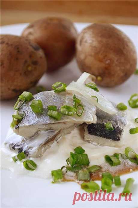 Маринованная сельдь со сметаной Это просто маринованная селедка. Те же рольмопсы , только попроще. Пряности могут быть другие, по вкусу. Подавать можно и без сметаны, но мне очень нравится именно это сочетание в последнее время. 2 свежезамороженные селедки 1 луковица 100 г сметаны 2 ч.л. соевого соуса Маринад: 2 горошины…