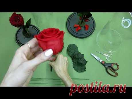 Как собрать "розу в колбе" самостоятельно / Мастер класс