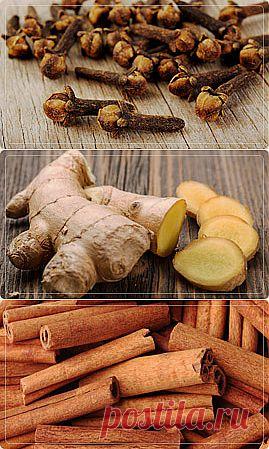 Корица - Портал «Домашний»