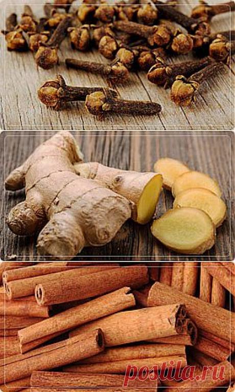 Корица - Портал «Домашний»