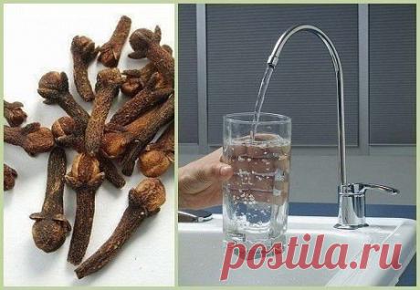 Как стабилизировать давление 
 
От “скачков”, перепадов высокого давления поможет избавиться такое народное средство. 
 
Возьмите: 
- 40 палочек гвоздики 
- 4 стакана воды 
 
Палочки гвоздики положите в эмалированную кастрюлю, залейте водой, доведите до кипения и кипятите на слабом огне до тех пор, пока не останется половина жидкости, т. е. 2 стакана. Затем перелейте в стеклянную бутылку. Это отвар из гвоздики пейте по 1 ч. л. 3 раза в день за 30 мин. до еды. 
 
Кроме того, необходимо укреплять