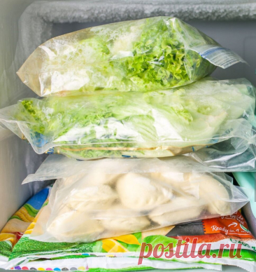 Какие продукты можно замораживать в морозилке без их порчи? - ИП Сивов М. А.