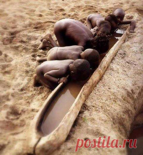 У землян нет денег, чтобы доставить воду в засушливые районы Земли, но есть деньги, чтобы искать воду на Марсе. После этого стоит задаться вопросом: Есть ли на Земле разум?