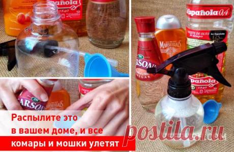 Распылите это в вашем доме, и все комары и мошки улетят Это спрей, благодаря которому комары и мошки станут держаться подальше от вашего жилища. Его легко изготовить в домашних условиях, легко применять, он состоит из доступных, недорогих и, что очень важно, безвредных для человека ингредиентов.