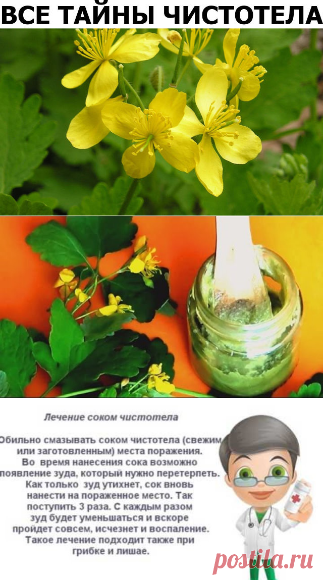 Чистотел. Рецепты народной медицины.

У чистотела есть одна очень интересная особенность. Он сразу отыскивает корень болезни. Если сок или порошок поместить на биологически активную точку, то наблюдается мгновенная трансформация, перенос его к источнику болезни.