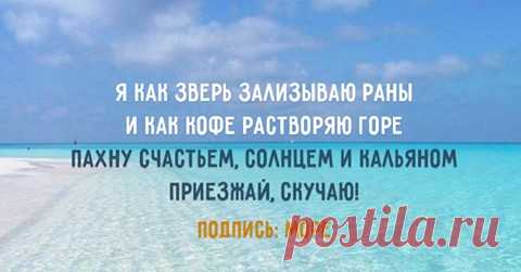 (31) Facebook