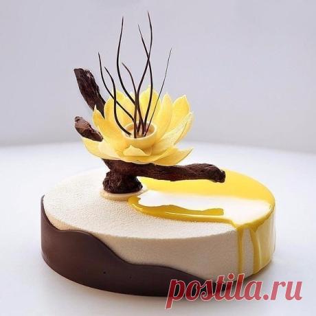 (62) Одноклассники