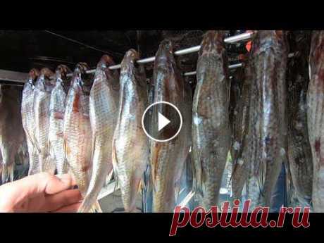 Сухой Посол Рыбы. Самая Вкусная Вяленая Рыба. #сухойпосолрыбы #вяленаярыба #рецепт В этом видео друзья я покажу рецепт сухого посола рыбы. Как солить, вялить, хранить вкусную вяленую рыбу! Очень п...