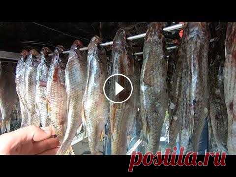 Сухой Посол Рыбы. Самая Вкусная Вяленая Рыба. #сухойпосолрыбы #вяленаярыба #рецепт В этом видео друзья я покажу рецепт сухого посола рыбы. Как солить, вялить, хранить вкусную вяленую рыбу! Очень п...